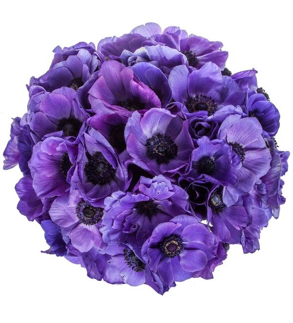 15 Анемонов Микс в стильной коробке