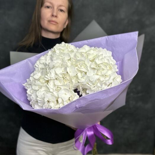 3 Белоснежные Гортензии