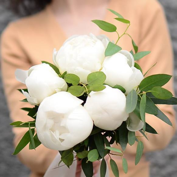 7 Белоснежных Пионов