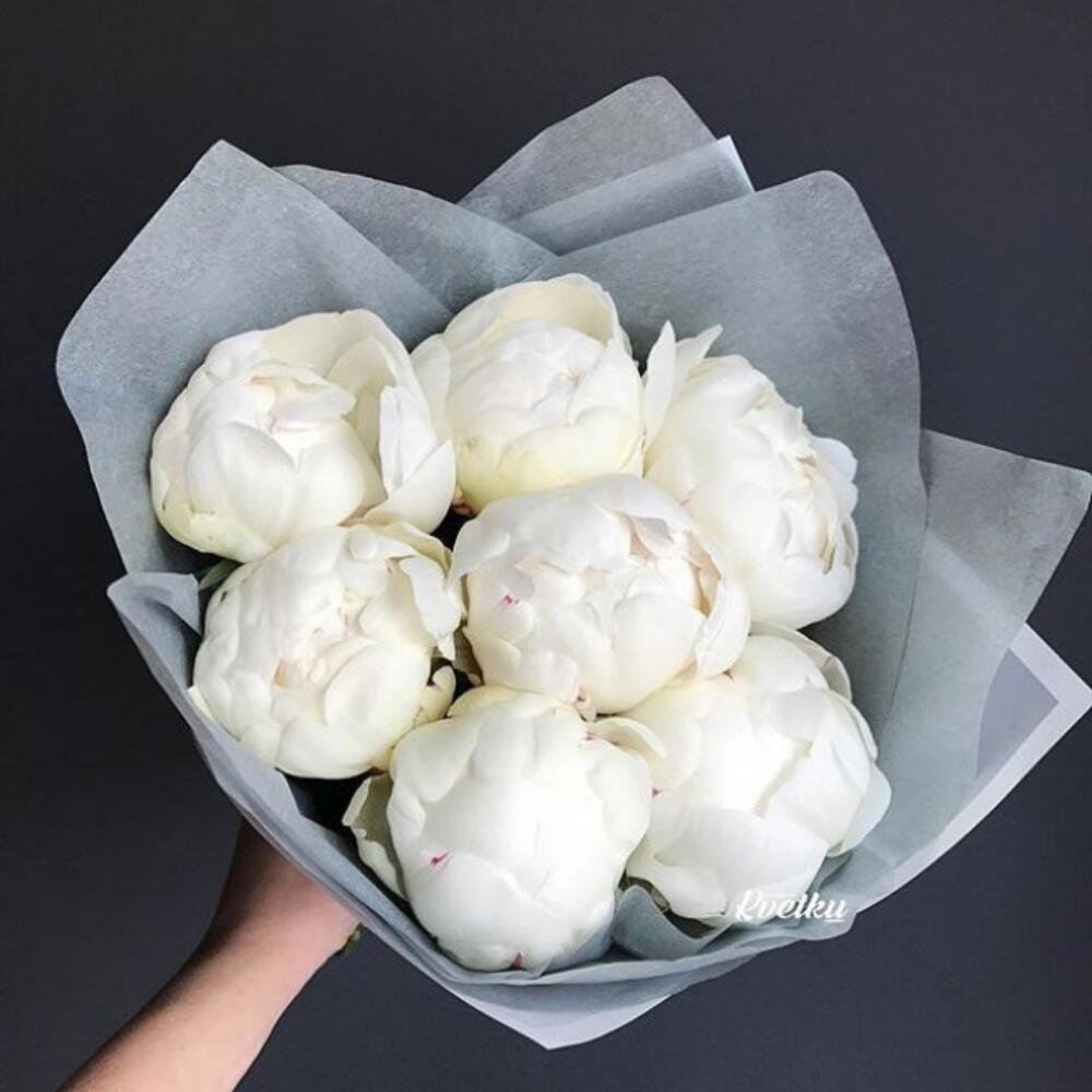 75 Белых Пионов в стильной упаковке